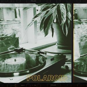 Polaroid