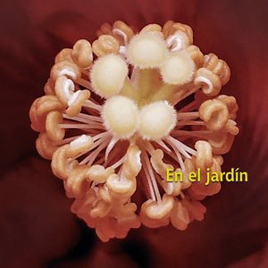 João (Silberstein)(3 47m)