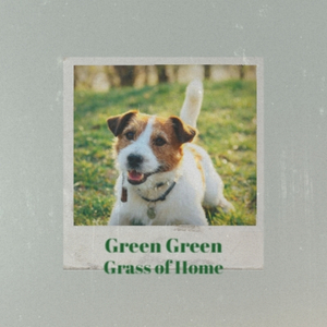 I've Got a Tiger by the Tail