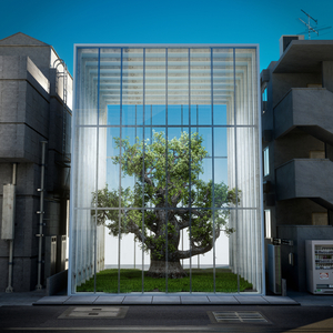 18°28'24"N 69°53'20"W