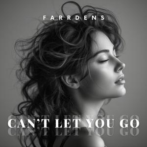 Can't let you go