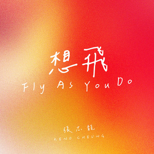 想飞