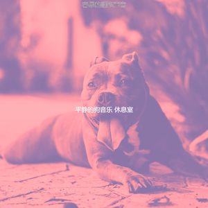 有趣可爱的狗情怀