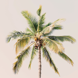 You Know Where To Find Me