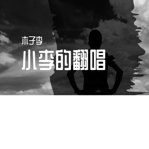 一场游戏一场梦（翻自王杰）