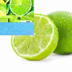 limeade﹆𓂅⊹⋆