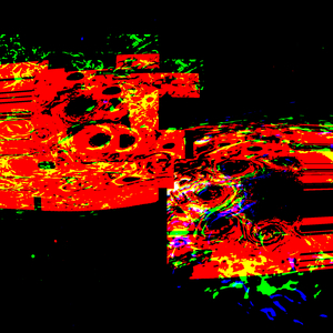 fleeting echoes of days past