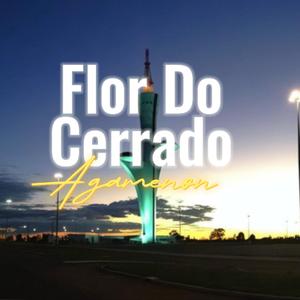 Flor Do Cerrado