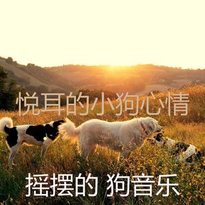 抚慰的睡狗回忆
