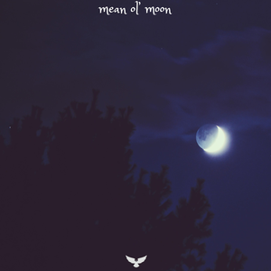 Mean Ol' Moon