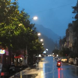 玫瑰花从未在这片土地上生长