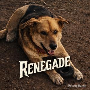 Renegade (Five Years for Nothing)