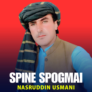 Spine Spogmai