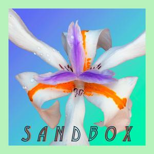 sandbox