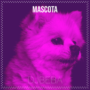 Mascota