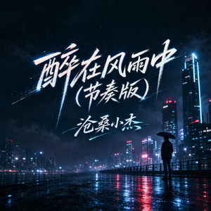 醉在风雨中(节奏版)