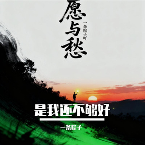 是我还不够好DJ