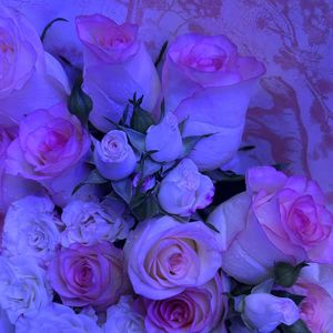 旧电影里的回忆