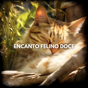 Integridade e Equilíbrio