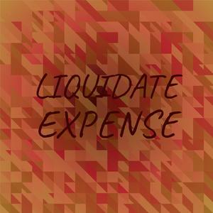 Liquidate Expense