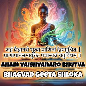 Aham Vaishvanaro Bhutva Prani 7 Times (Bhagvad Geeta shloka for digesting food)