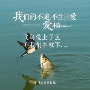 飞鸟爱上了鱼 (我们本就不应该相爱) (Cover 宁小泽)