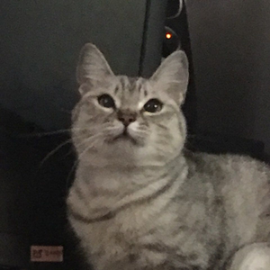 룩 앳 미 아이즈