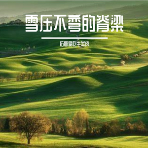 雪压不弯的脊梁