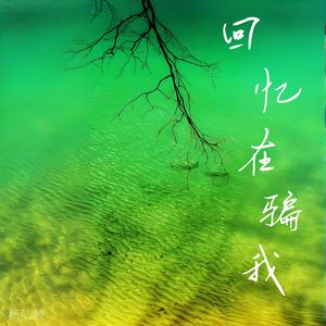 回忆在骗我(男版)