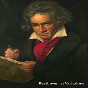 Beethoven: 12 Variations On 'Ein Mädchen Oder Weibchen' Op.66