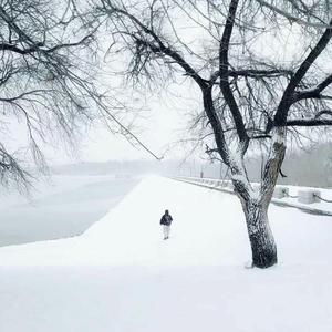 一城白头(女声版)