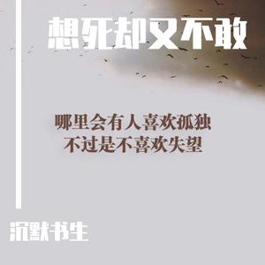 他只是经过（DJ沉默书生remix）