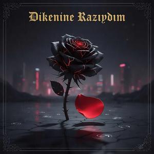 Dikenine Razıydım