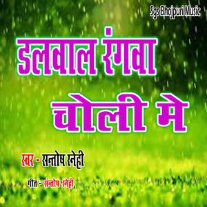 Dalwal Rangwa Choli Me
