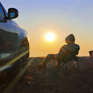 几番波折经风雪