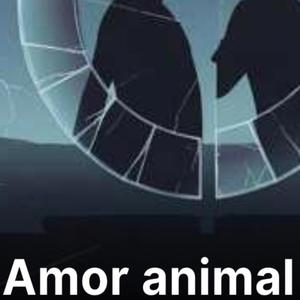 Amor Animal