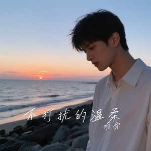 不打扰的温柔