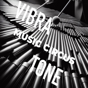 なんでもないよ、 (Vibraphone Cover)