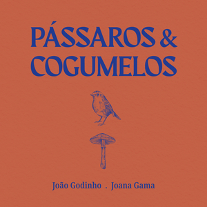 Anéis de fadas