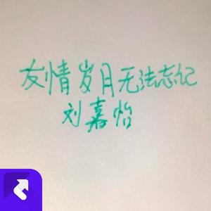 友情岁月无法忘记 (现场)