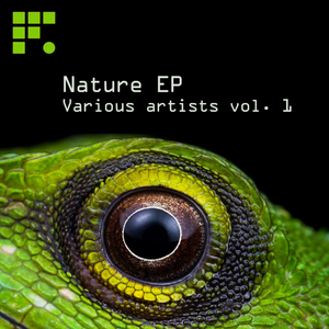 Earthling (Original Mix)