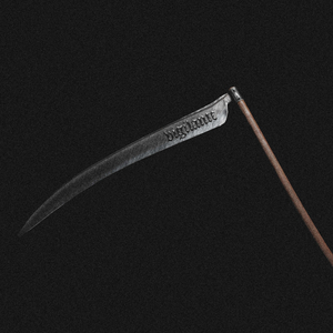 vigilante