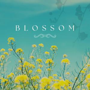 Blossom