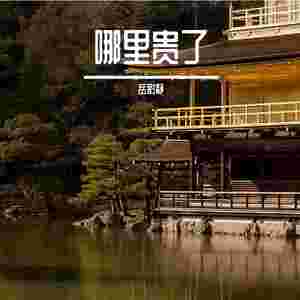 啤酒白酒不能混喝