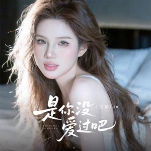 是你没爱过吧 (DJ宋若棠版)升调版