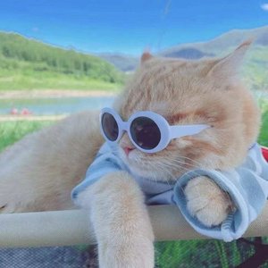 普通人生