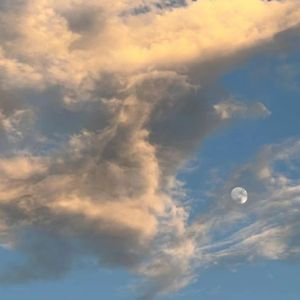 风也很温柔（prod.by Morrow)