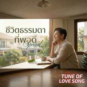 ชีวิตธรรมดาที่พอดี (Special Version)