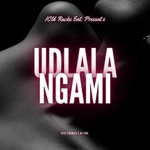 Udlala Ngami