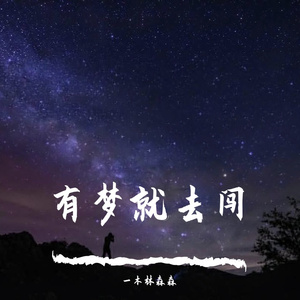 有梦就去闯